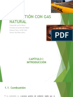 COMBUSTIÓN CON GAS NATURAL.pptx