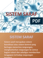 Sistem Saraf Indera Hormon