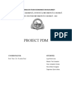 Documentatie Proiect PDM