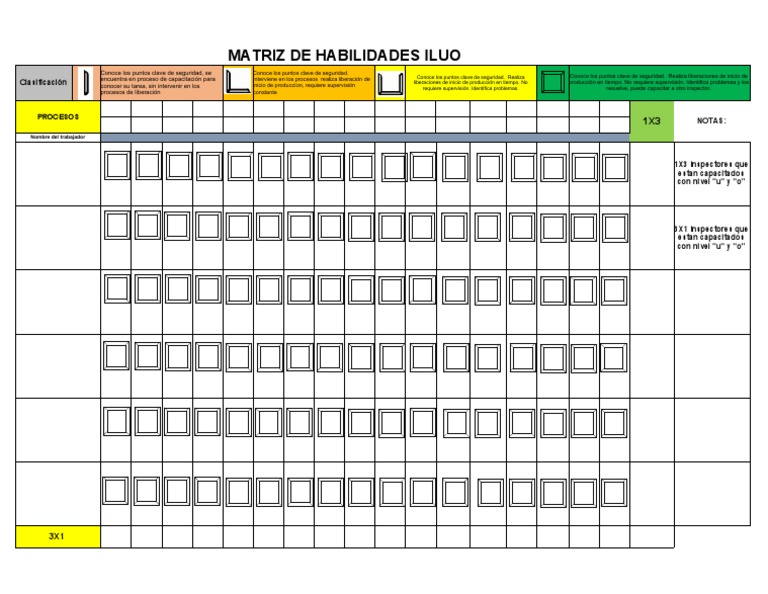 Matriz de Habilidades ILUO en Excel | PDF | Cognición | Conceptos ...
