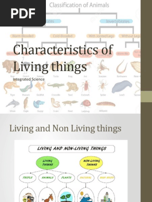 Characteristics Of Living Things Integrated Science Pdf Organisms Fungus