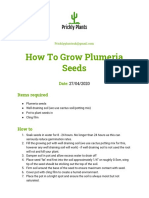 Plumeria Guide