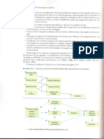 Roberto Hernández Sampieri - Metodología de la investigación - Teoría Fundada