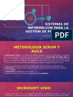 Desarrollo de sistemas de información.pptx