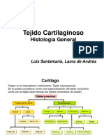 cartilago_NV.pdf