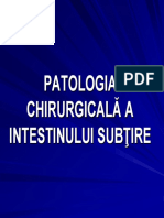 07 Patologia intestinului subtire.pdf