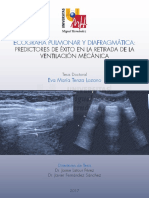 Ecografia Pulmonar y Diafragmatica UCI