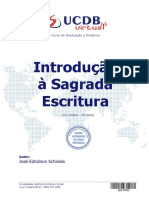 Introducao A Sagrada Escritura