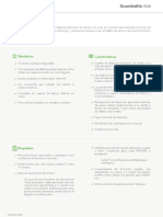 Folleto Informativo Guardadito Kids