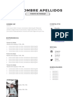 Plantilla Curriculum Sencillo