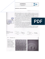 Lectura Ondas Mecánicas Interferencia y Ondas Estacionarias Grado 11 PDF