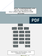 Comprender Los Distintos Sistemas de Pastoreo en Producción Bovina