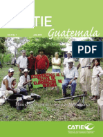 CATIE - InfoCATIE - Guatemala 6