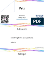 Pets Flashcards