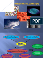 Acumulacioes Patologia PDF