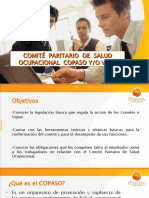COPASO - Positiva 2009 (29 diapositivas)