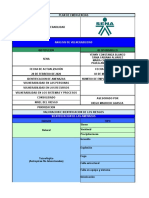 Analisis de Vulnerabilidad Sena Final