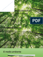El Medio Ambiente PDF