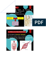 Receptores Hormonales