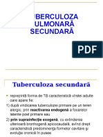 4.Tuberculoza-secundară-2.pptx