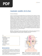 Download Anatomie Sensitive de La Face by Mamadou Mbao SN45885034 doc pdf