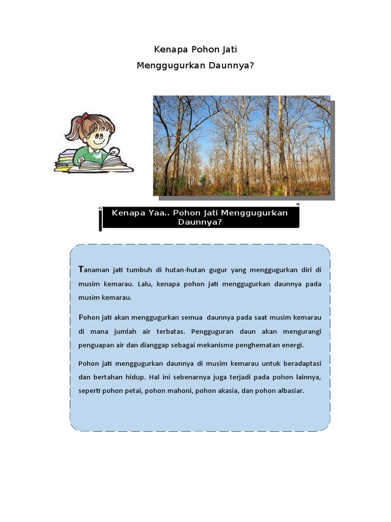 Kenapa Pohon Jati Pdf