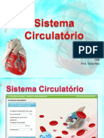 sistemacirculatrio-110201115123-phpapp02