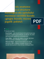 Caractere Anatomo-Fiziologice Și Structura Histologică Ale Epiteliului Mucoasei Cavității Bucale