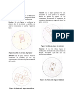 Dibujo Mitosis