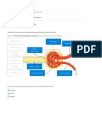 Función Glomerular Report