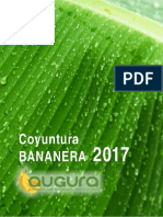 Coyuntura Bananera 2017
