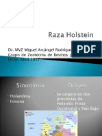 P01. Raza Holstein