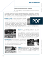 Fichas de Trabajo 6º 5 PDF