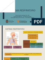 Respiratorio - Completo PDF