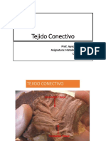 Tejido - Conjuntivo Final PDF