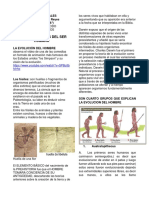 Ciencias Sociales Sexto LOS ANTEPASADOS DEL HOMBRE PDF