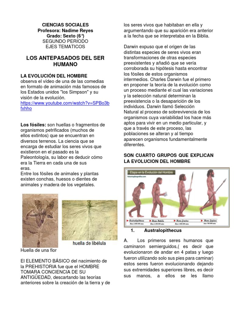 La evolución del ser humano: de los primeros homínidos a Homo sapiens ...