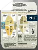 Infografía de Principios de La Prueba Edwin y Cynthia