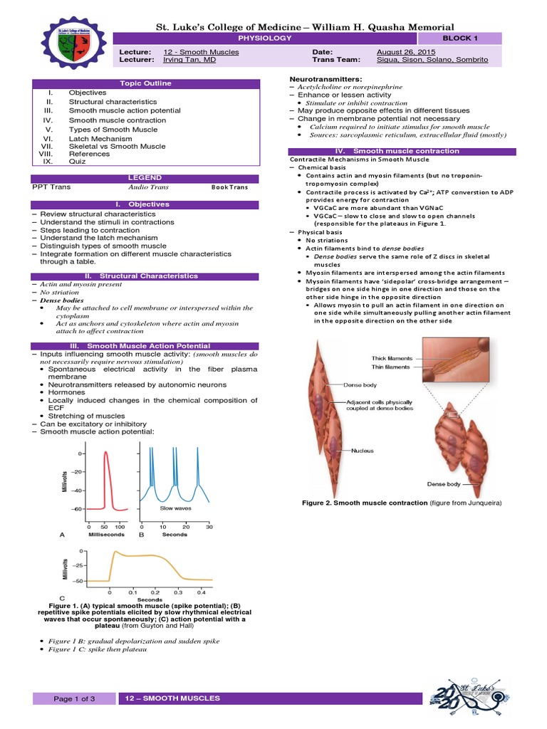 Smooth Muscle Physiology Lecture | PDF | Muscle Contraction | Skeletal ...