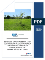 ECP-GRM-2015-CB-EIA-CAP-005 - Evaluación Ambiental - Versión 0.0