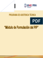 Formulacion PIP RRSS PDF