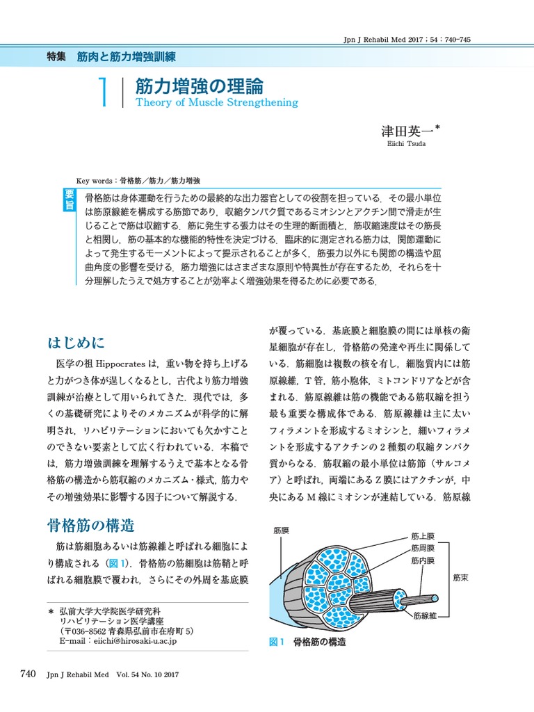 筋力増強の理論 Pdf