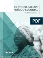 Relacoes Etnico Raciais Brasil (FGV)