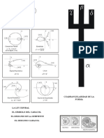 Cuadrangularidad de La Forma