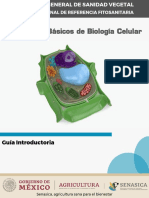 Guia Introductoria Conceptos Fudamentales Biol Celular V.1 PUB PDF