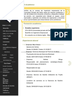 CV Documentado-30-01-2020 Organized PDF
