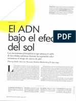 ADN bajo el efecto del sol. Revista Investigación y Ciencia 2012. Número 431