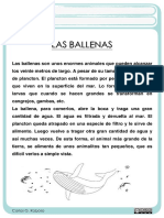 Las Ballenas PDF
