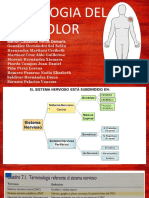 Fisiologia Del Dolor, 1TV11. PDF
