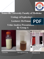 Somaville University Faculty of Medicine Urology &Nephrology Lecturer: Dr.Osman Urine Analyze Presentation By Group A